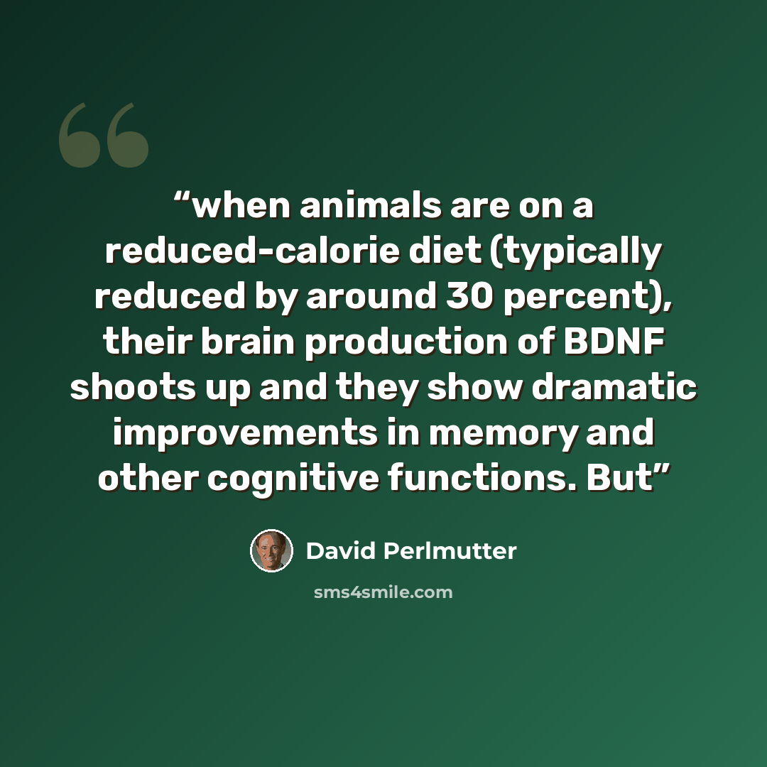 “when animals are on a reduced-calorie diet (typically reduced by around 30 percent), their brain production of BDNF shoots up and they show dramatic improvements in memory and other cognitive functions. But” quote by David Perlmutter