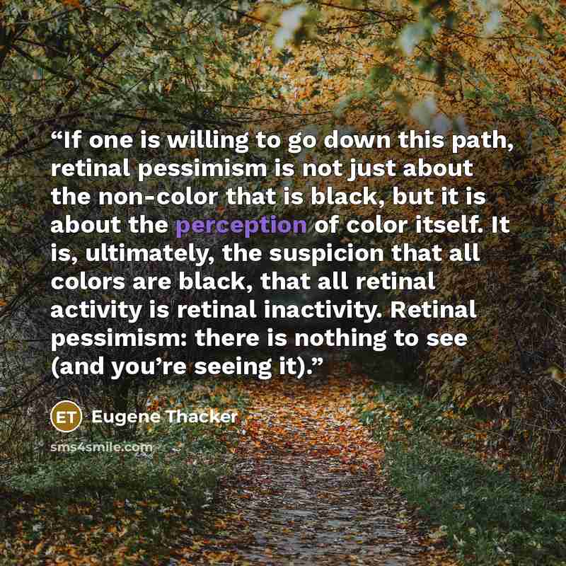 “If one is willing to go down this path, retinal pessimism is not just about the non-color that is black, but it is about the perception of color itself. It is, ultimately, the suspicion that all colors are black, that all retinal activity is retinal inactivity. Retinal pessimism: there is nothing…” quote by Eugene Thacker