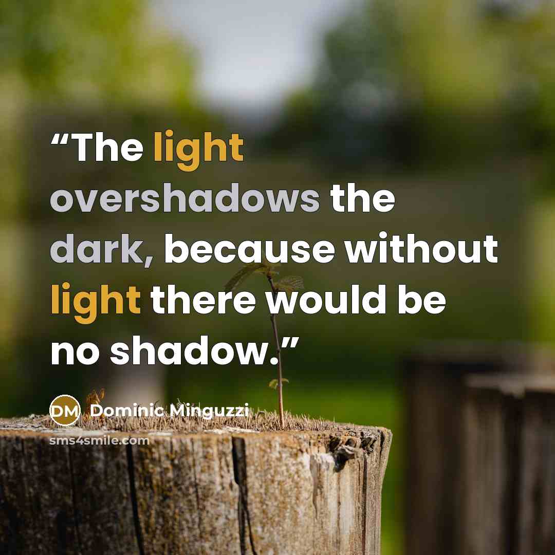 “The light overshadows the dark, because without light there would be no shadow.” quote by Dominic Minguzzi