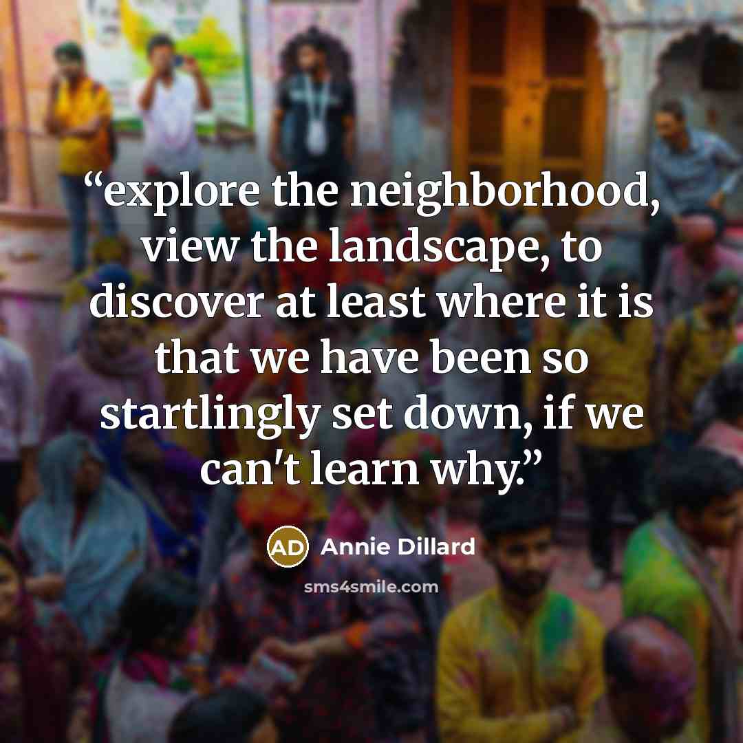 “explore the neighborhood, view the landscape, to discover at least where it is that we have been so startlingly set down, if we can't learn why.” quote by Annie Dillard