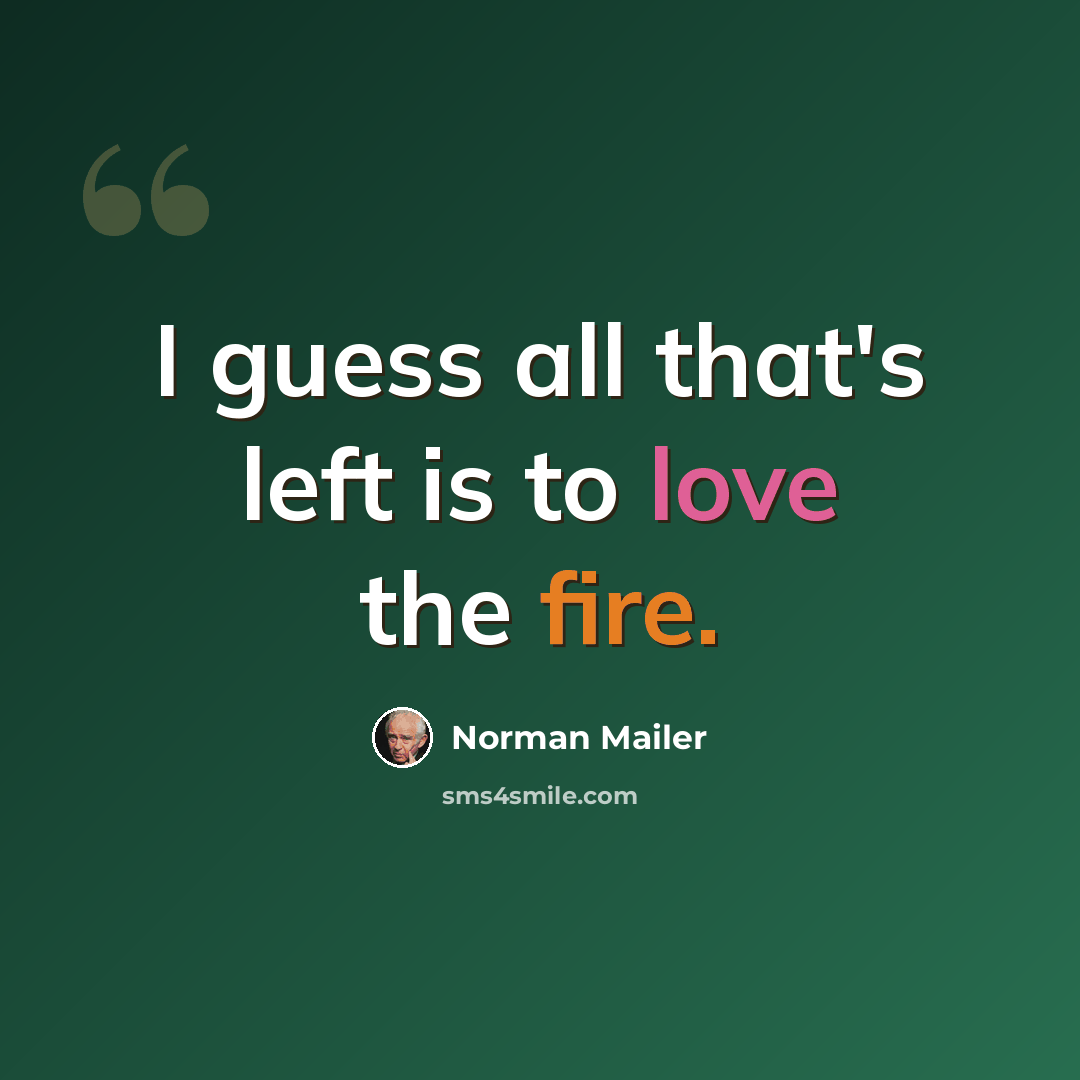 “I guess all that's left is to love the fire.” quote by Norman Mailer