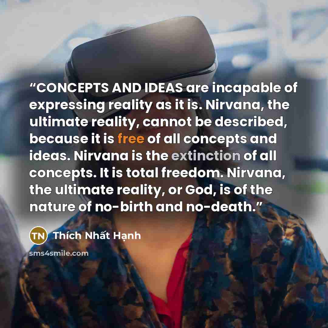 “CONCEPTS AND IDEAS are incapable of expressing reality as it is. Nirvana, the ultimate reality, cannot be described, because it is free of all concepts and ideas. Nirvana is the extinction of all concepts. It is total freedom. Nirvana, the ultimate reality, or God, is of the nature of no-birth and…” quote by Thich Nhat Hanh