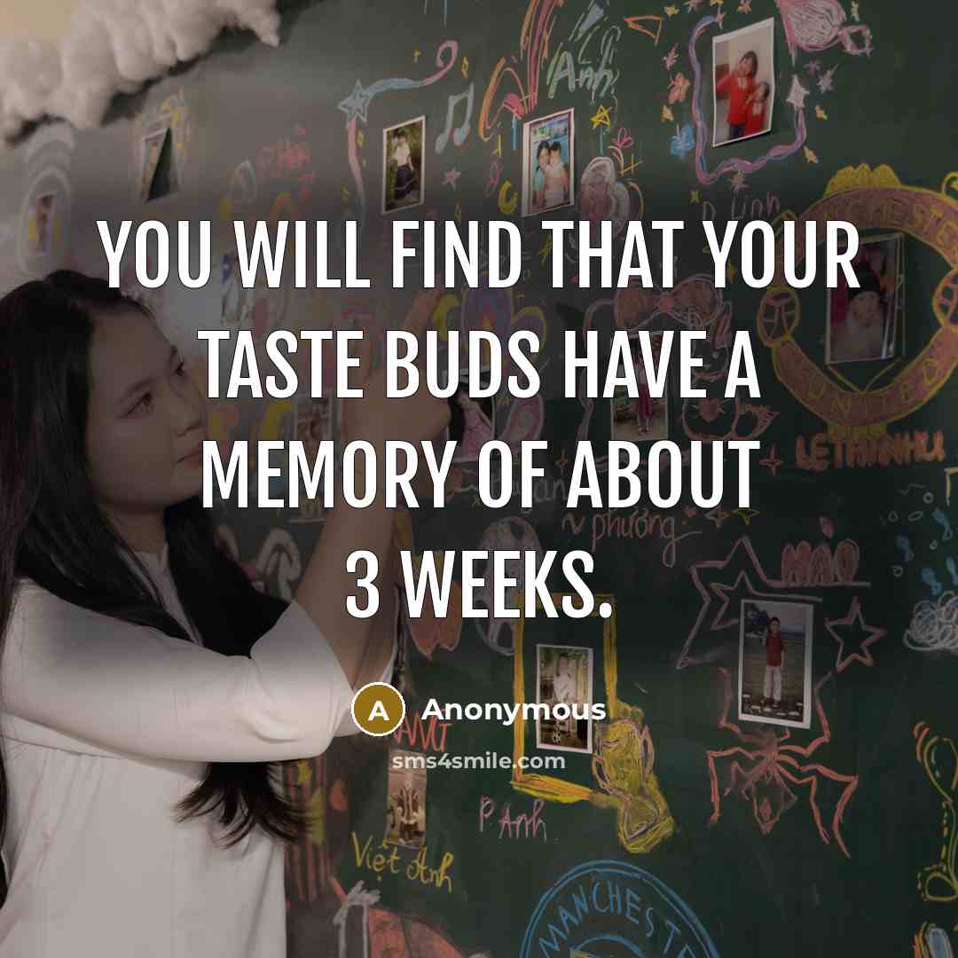 “You will find that your taste buds have a memory of about 3 weeks.” quote by Anonymous