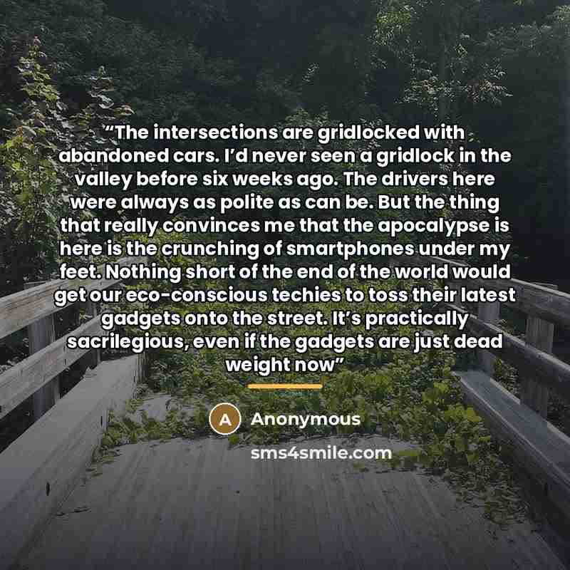 “The intersections are gridlocked with abandoned cars. I’d never seen a gridlock in the valley before six weeks ago. The drivers here were always as polite as can be. But the thing that really convinces me that the apocalypse is here is the crunching of smartphones under my feet. Nothing short of…” quote by Anonymous