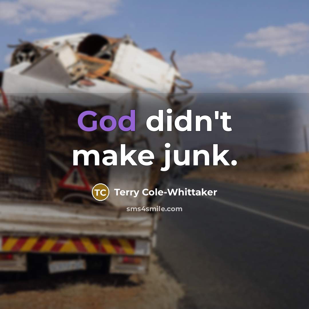 “God didn't make junk.” quote by Terry Cole-Whittaker