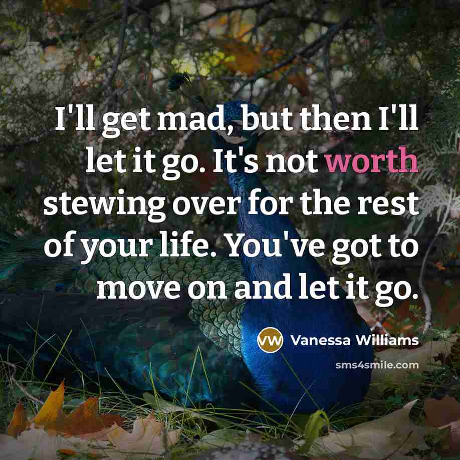 “I'll get mad, but then I'll let it go. It's not worth stewing over for the rest of your life. You've got to move on and let it go.” quote by Vanessa Williams