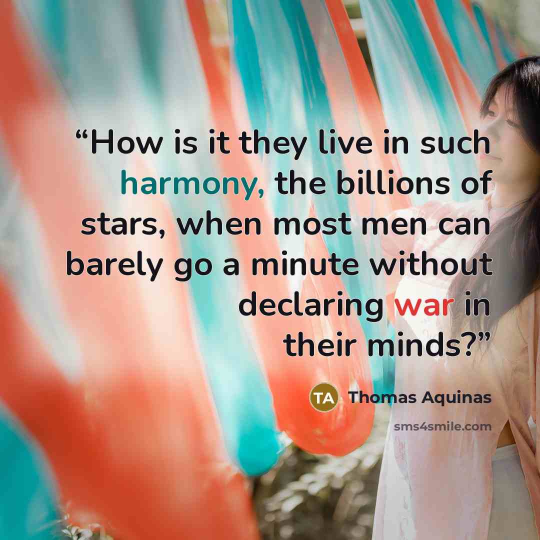 “How is it they live in such harmony, the billions of stars, when most men can barely go a minute without declaring war in their minds?” quote by Thomas Aquinas
