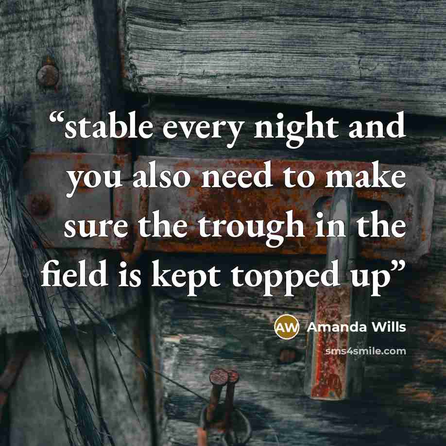 “stable every night and you also need to make sure the trough in the field is kept topped up” quote by Amanda Wills