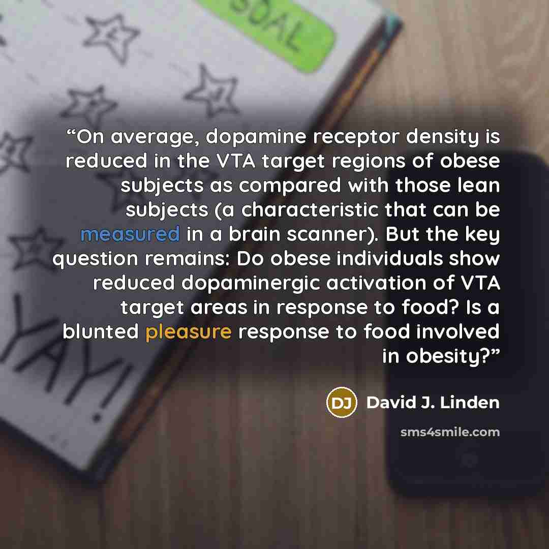 “On average, dopamine receptor density is reduced in the VTA target regions of obese subjects as compared with those lean subjects (a characteristic that can be measured in a brain scanner). But the key question remains: Do obese individuals show reduced dopaminergic activation of VTA target areas…” quote by David J. Linden