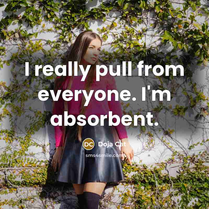 “I really pull from everyone. I'm absorbent.” quote by Doja Cat