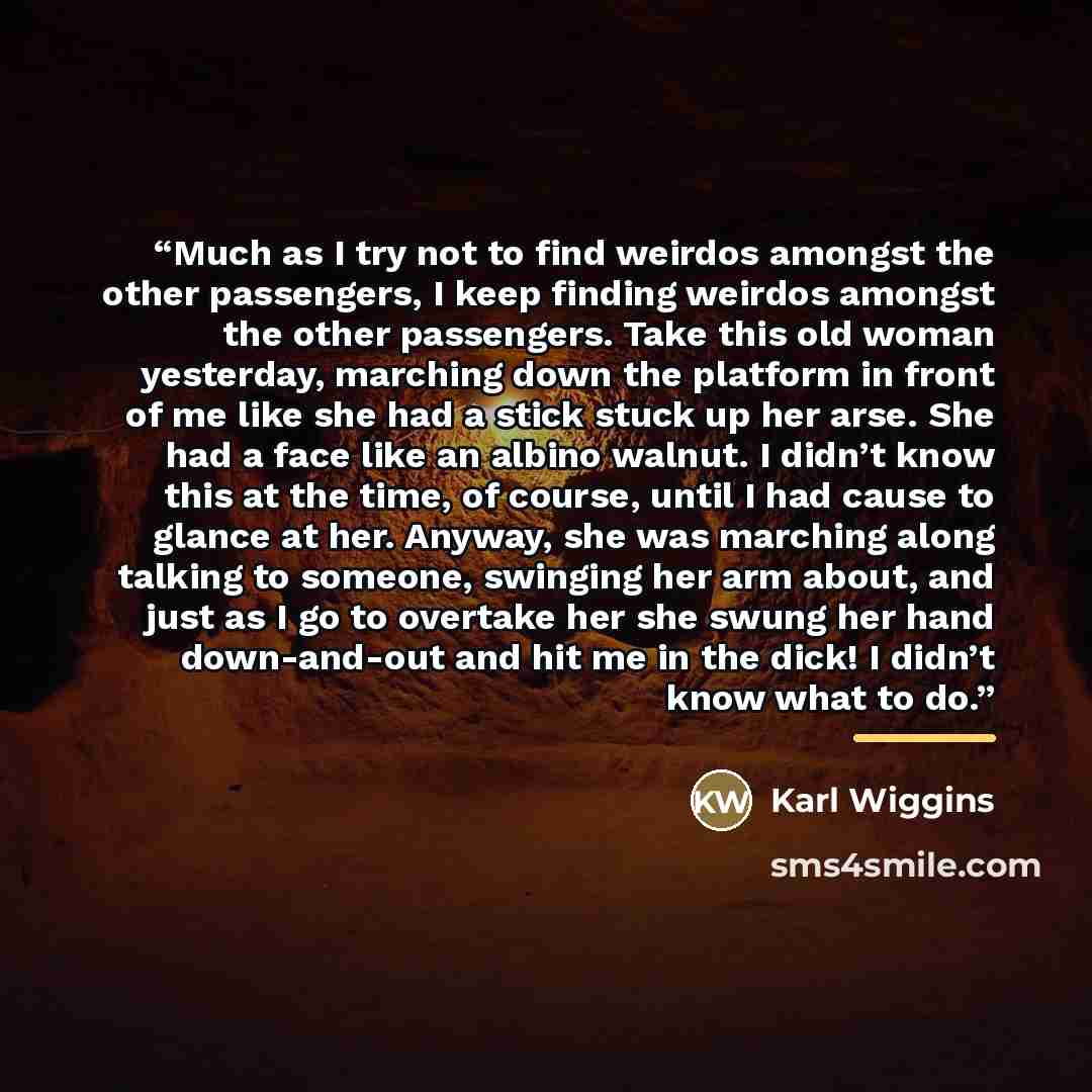 “Much as I try not to find weirdos amongst the other passengers, I keep finding weirdos amongst the other passengers. Take this old woman yesterday, marching down the platform in front of me like she had a stick stuck up her arse. She had a face like an albino walnut. I didn’t know this at the…” quote by Karl Wiggins