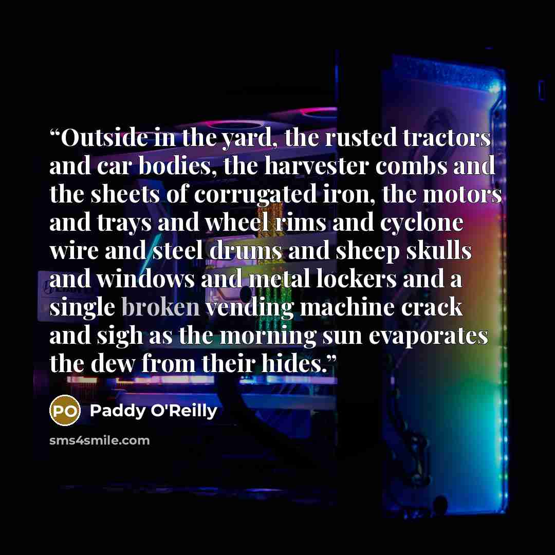 “Outside in the yard, the rusted tractors and car bodies, the harvester combs and the sheets of corrugated iron, the motors and trays and wheel rims and cyclone wire and steel drums and sheep skulls and windows and metal lockers and a single broken vending machine crack and sigh as the morning sun…” quote by Paddy O'Reilly