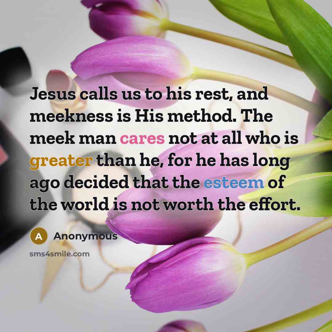 “Jesus calls us to his rest, and meekness is His method. The meek man cares not at all who is greater than he, for he has long ago decided that the esteem of the world is not worth the effort.” quote by Anonymous