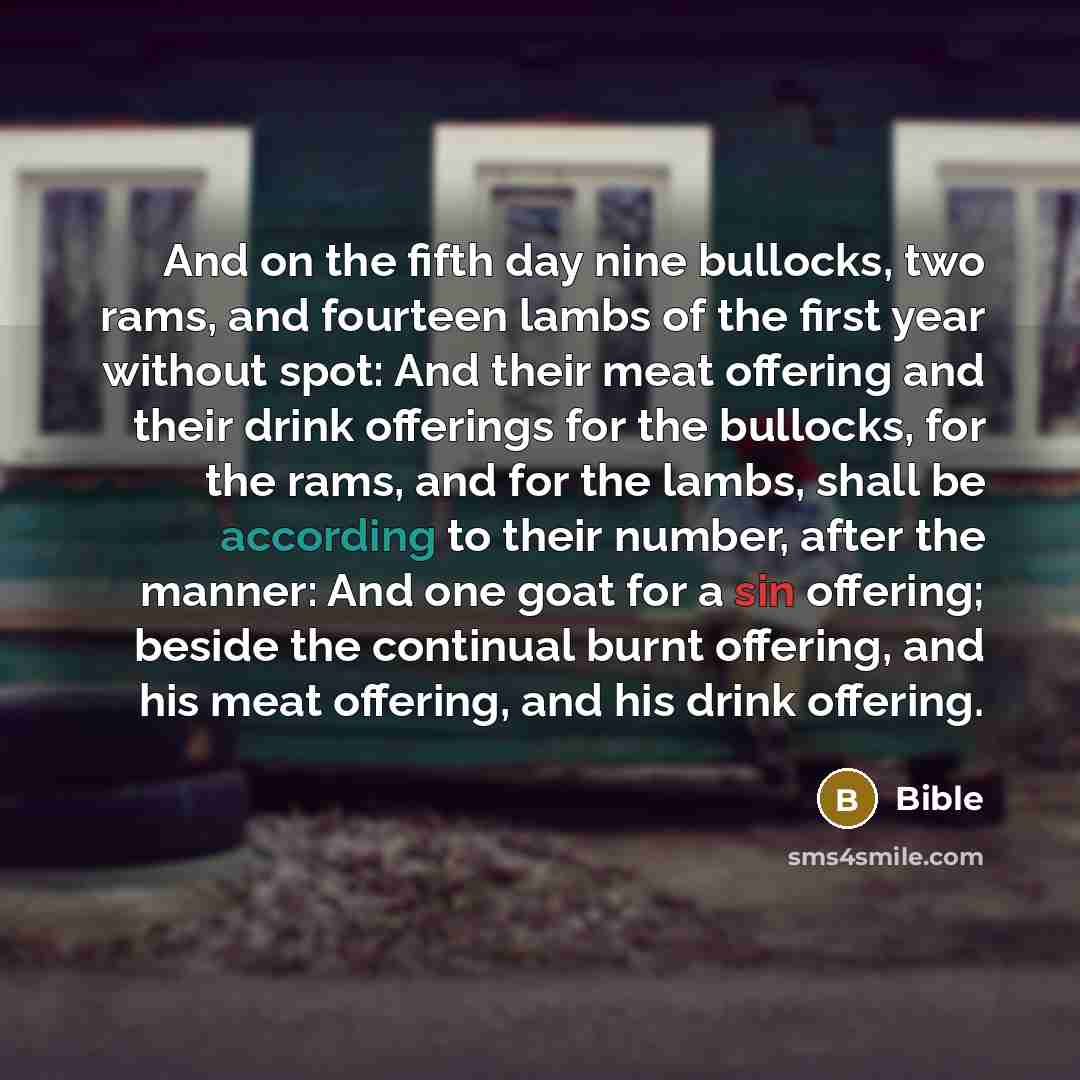 “And on the fifth day nine bullocks, two rams, and fourteen lambs of the first year without spot: And their meat offering and their drink offerings for the bullocks, for the rams, and for the lambs, shall be according to their number, after the manner: And one goat for a sin offering; beside the…” quote by Bible