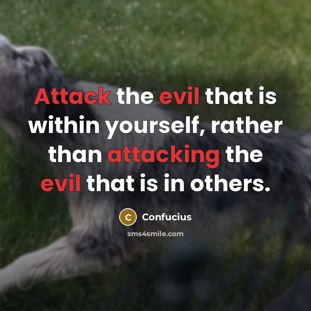“Attack the evil that is within yourself, rather than attacking the evil that is in others.” quote by Confucius