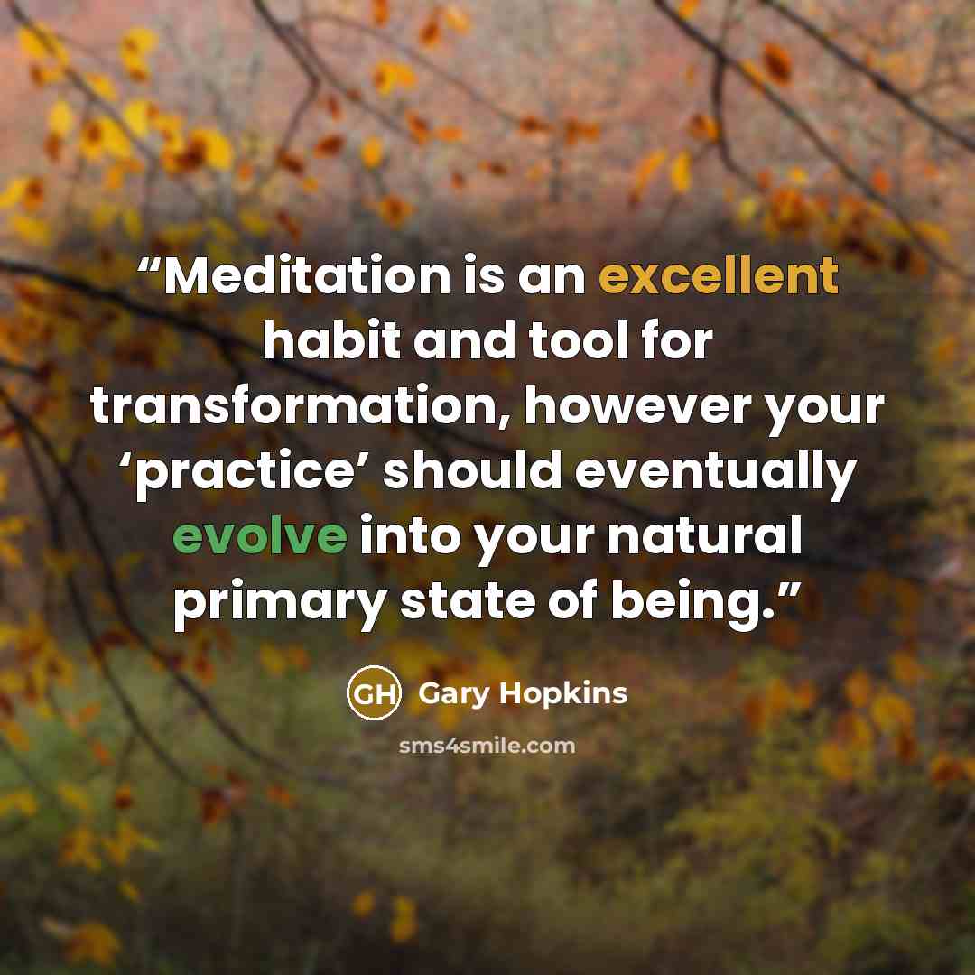 “Meditation is an excellent habit and tool for transformation, however your ‘practice’ should eventually evolve into your natural primary state of being.” quote by Gary Hopkins