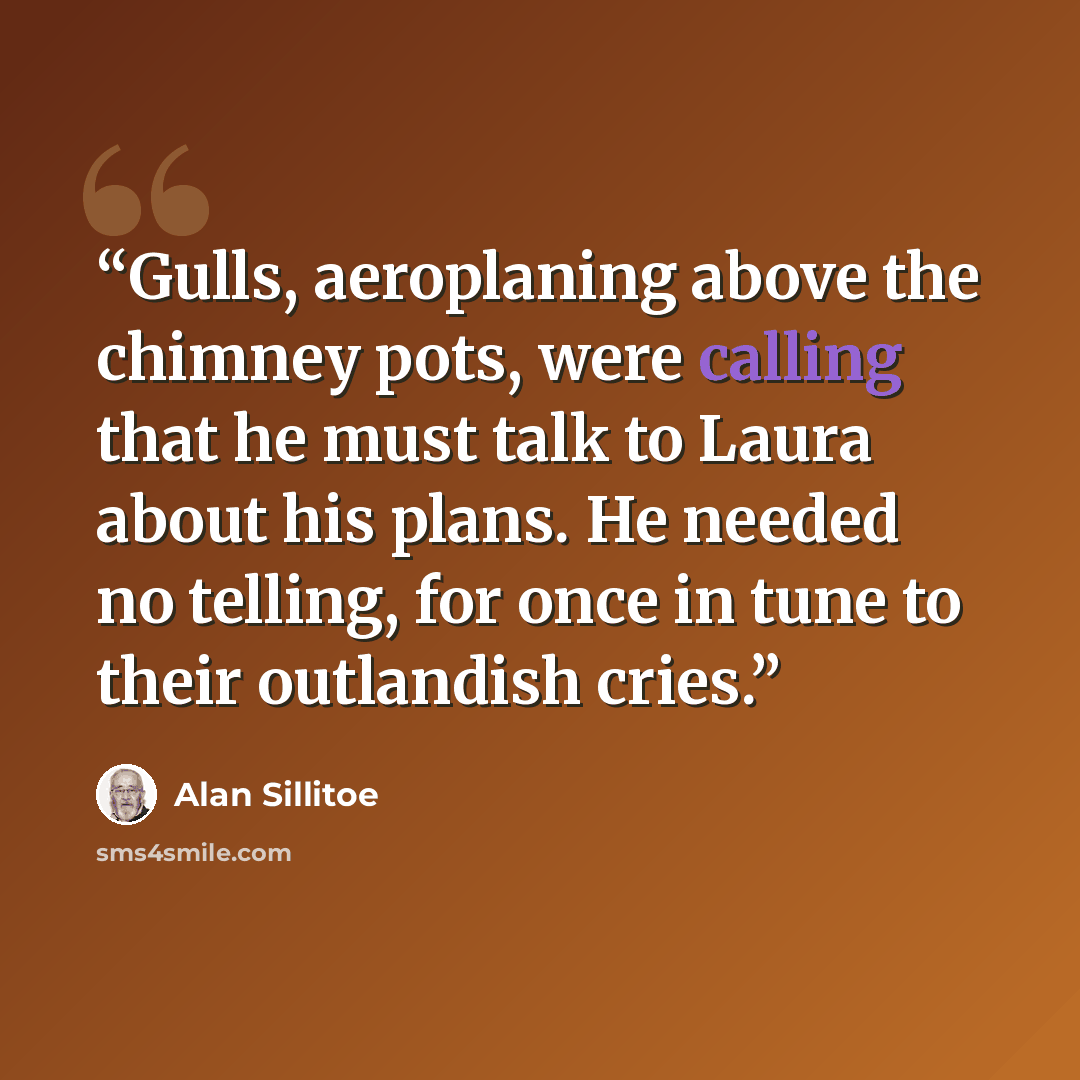 “Gulls, aeroplaning above the chimney pots, were calling that he must talk to Laura about his plans. He needed no telling, for once in tune to their outlandish cries.” quote by Alan Sillitoe
