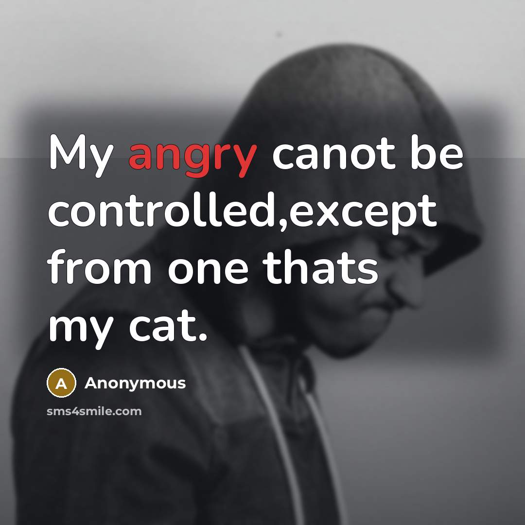 “My angry canot be controlled,except from one thats my cat.” quote by Anonymous