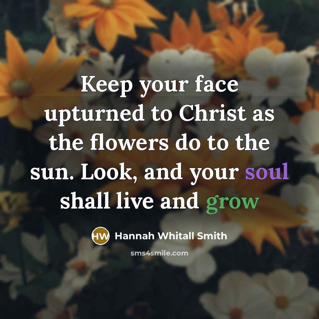 “Keep your face upturned to Christ as the flowers do to the sun. Look, and your soul shall live and grow” quote by Hannah Whitall Smith