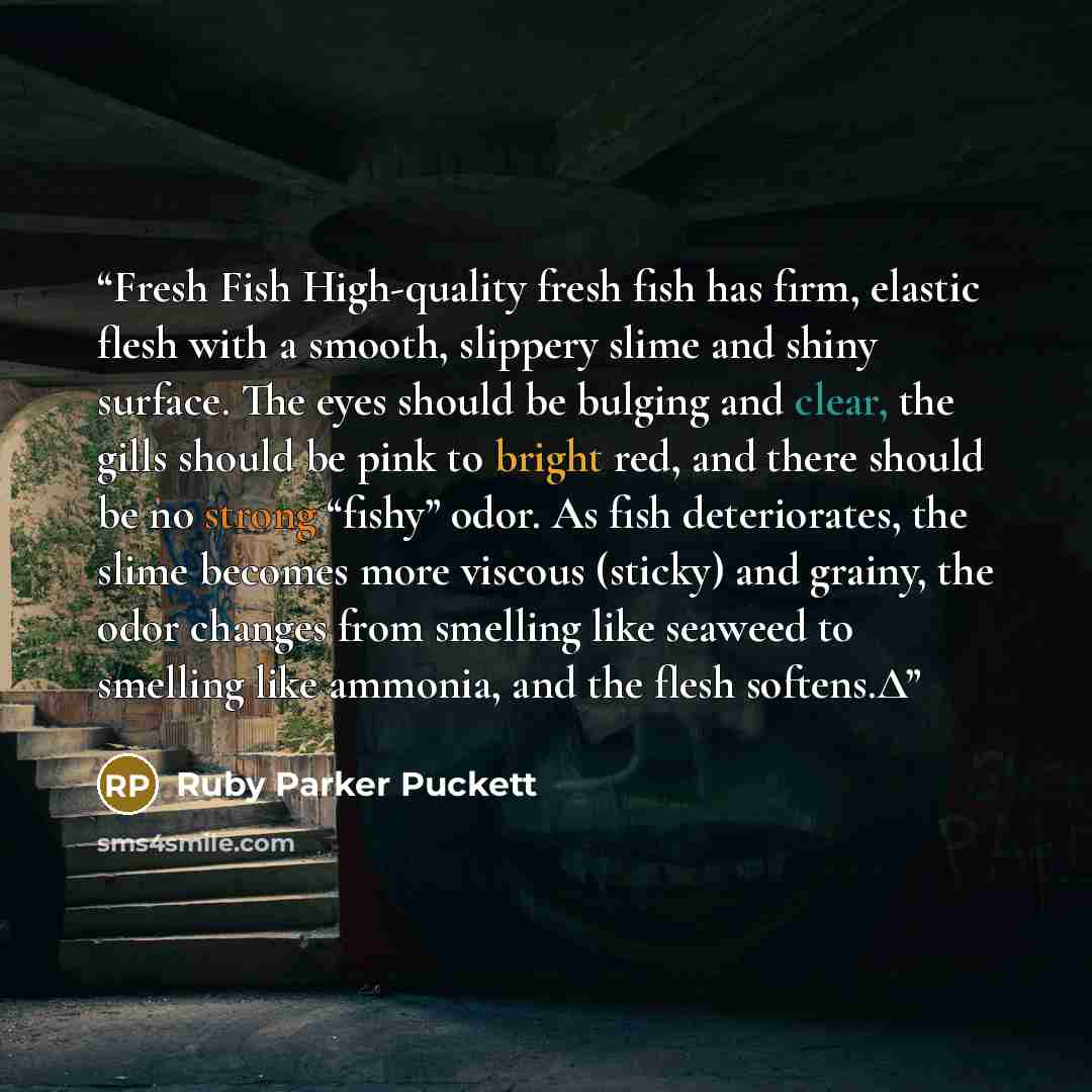 “Fresh Fish High-quality fresh fish has firm, elastic flesh with a smooth, slippery slime and shiny surface. The eyes should be bulging and clear, the gills should be pink to bright red, and there should be no strong “fishy” odor. As fish deteriorates, the slime becomes more viscous (sticky) and…” quote by Ruby Parker Puckett
