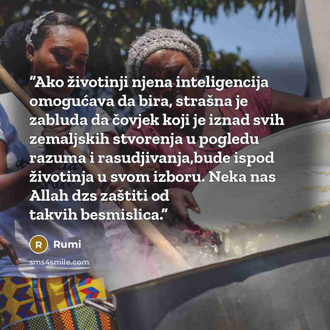 “Ako životinji njena inteligencija omogućava da bira, strašna je zabluda da čovjek koji je iznad svih zemaljskih stvorenja u pogledu razuma i rasudjivanja,bude ispod životinja u svom izboru. Neka nas Allah dzs zaštiti od takvih besmislica.” quote by Rumi