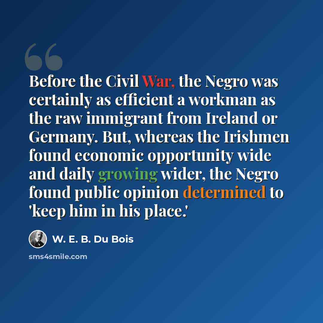 “Before the Civil War, the Negro was certainly as efficient a workman as the raw immigrant from Ireland or Germany. But, whereas the Irishmen found economic opportunity wide and daily growing wider, the Negro found public opinion determined to 'keep him in his place.'” quote by W. E. B. Du Bois