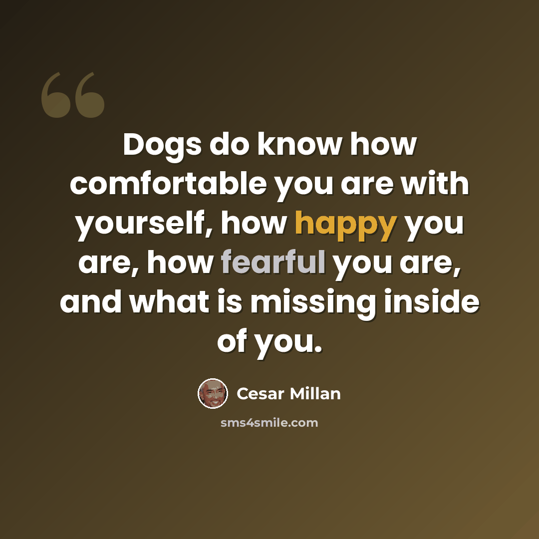 “Dogs do know how comfortable you are with yourself, how happy you are, how fearful you are, and what is missing inside of you.” quote by Cesar Millan