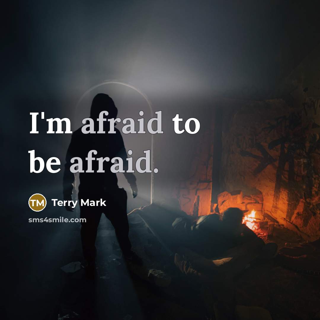 “I'm afraid to be afraid.” quote by Terry Mark