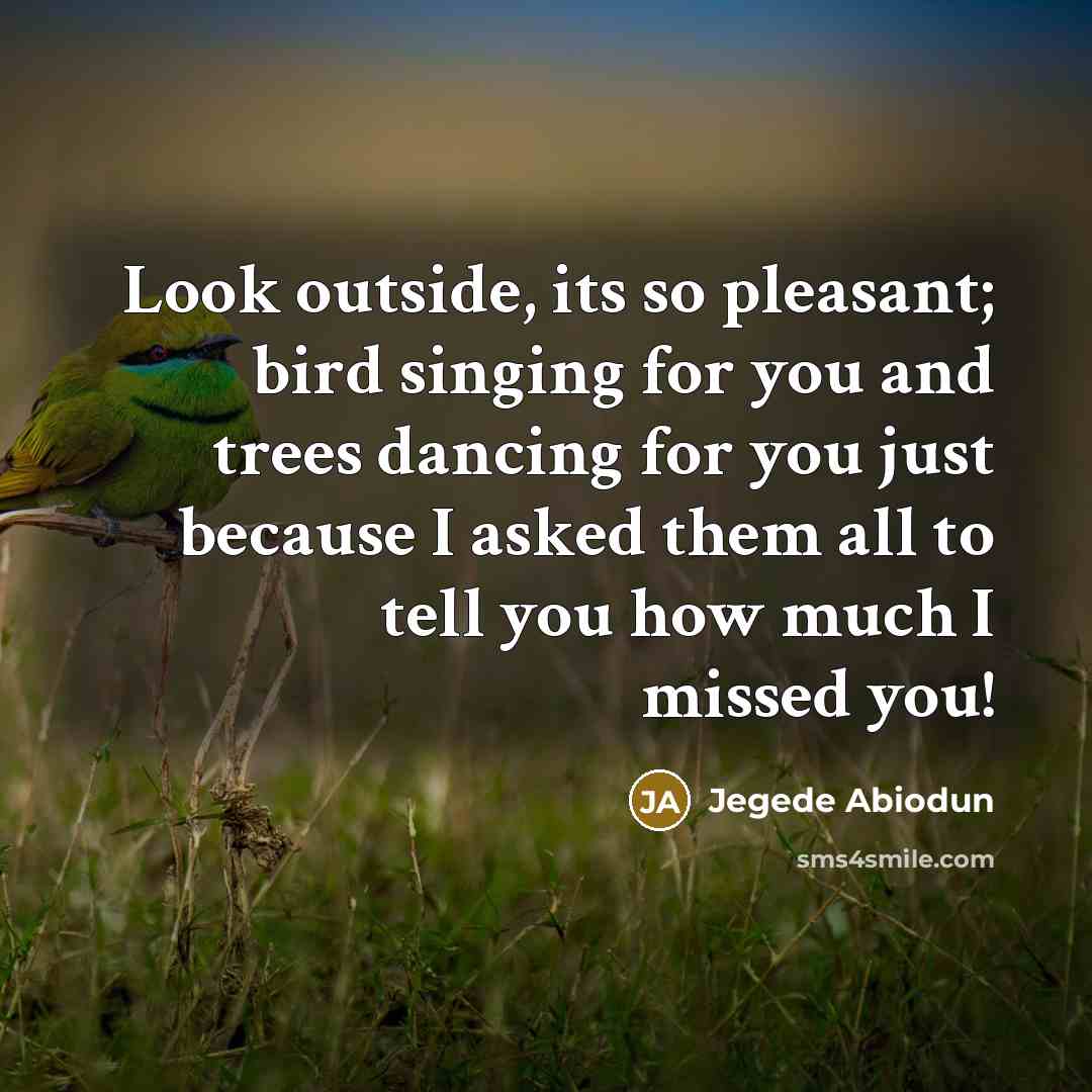 “Look outside, its so pleasant; bird singing for you and trees dancing for you just because I asked them all to tell you how much I missed you!” quote by Jegede Abiodun