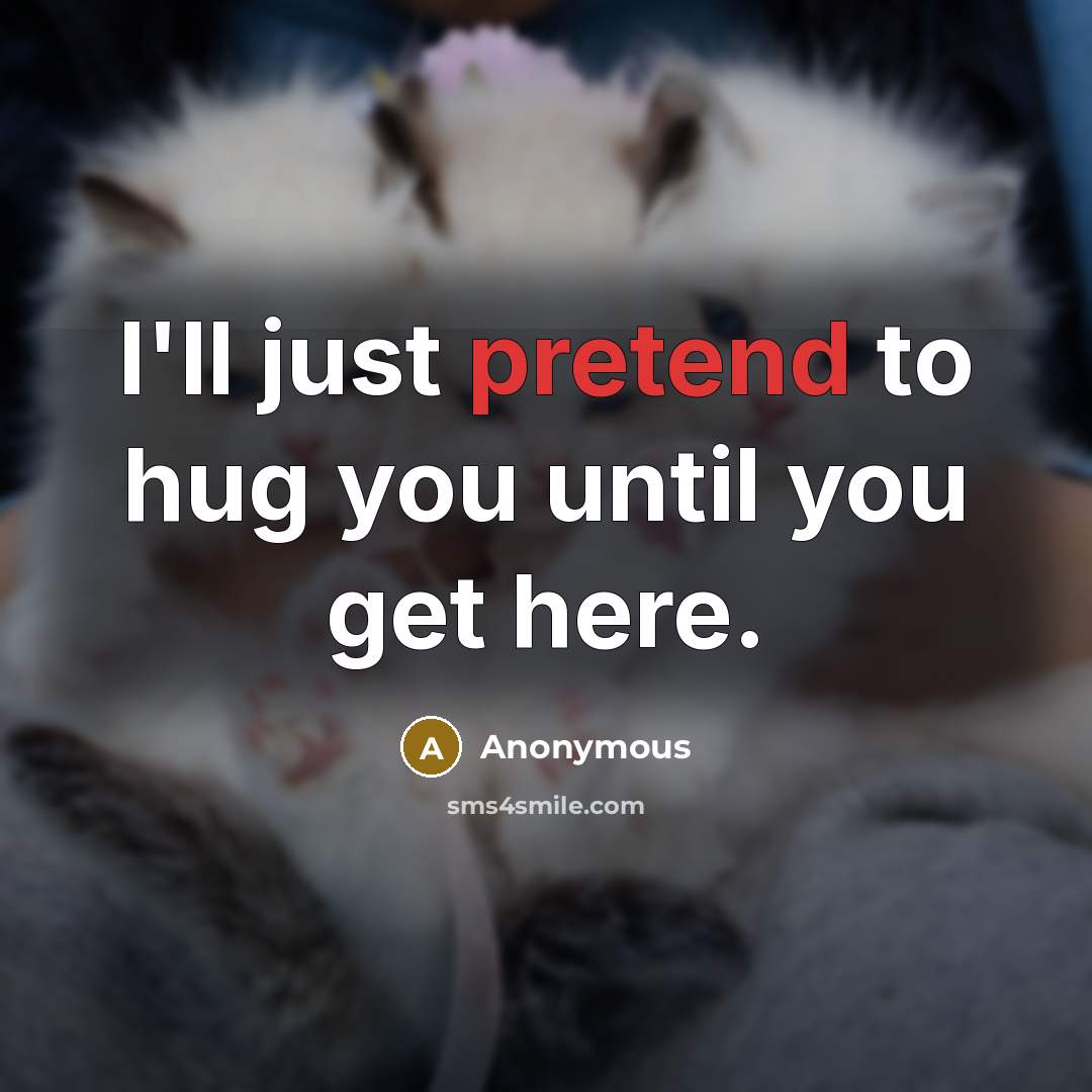 “I'll just pretend to hug you until you get here.” quote by Anonymous
