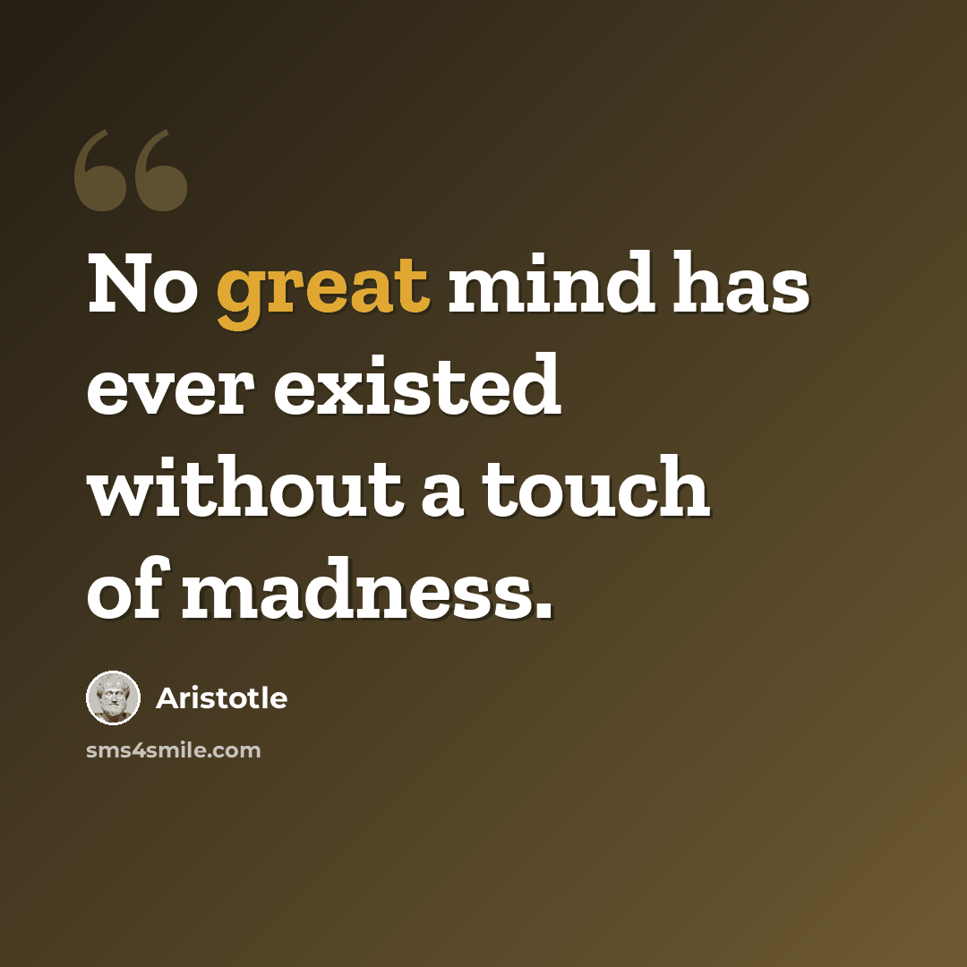 “No great mind has ever existed without a touch of madness.” quote by Aristotle