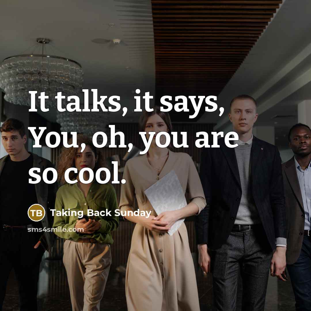 “It talks, it says, You, oh, you are so cool.” quote by Taking Back Sunday