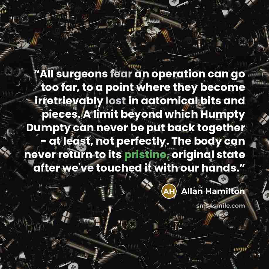 “All surgeons fear an operation can go too far, to a point where they become irretrievably lost in aatomical bits and pieces. A limit beyond which Humpty Dumpty can never be put back together - at least, not perfectly. The body can never return to its pristine, original state after we've touched it…” quote by Allan Hamilton