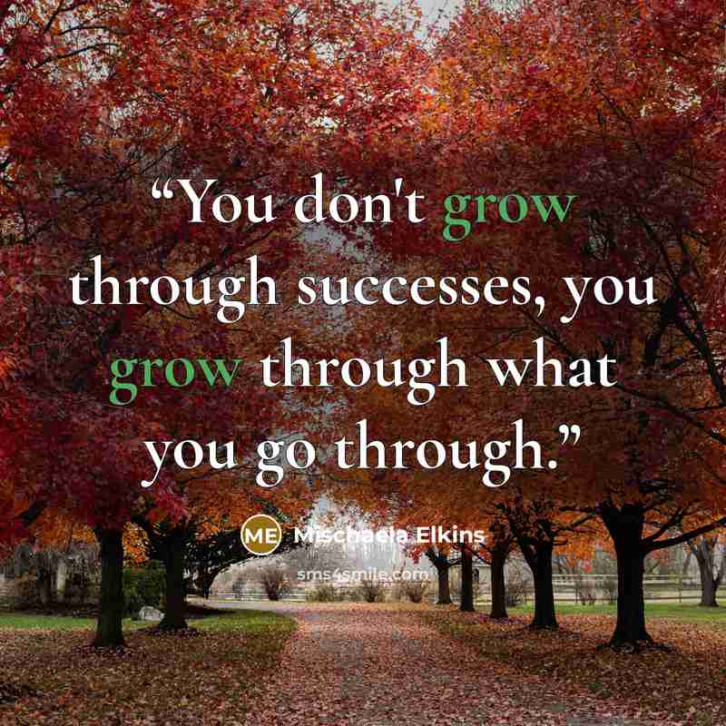 “You don't grow through successes, you grow through what you go through.” quote by Mischaela Elkins