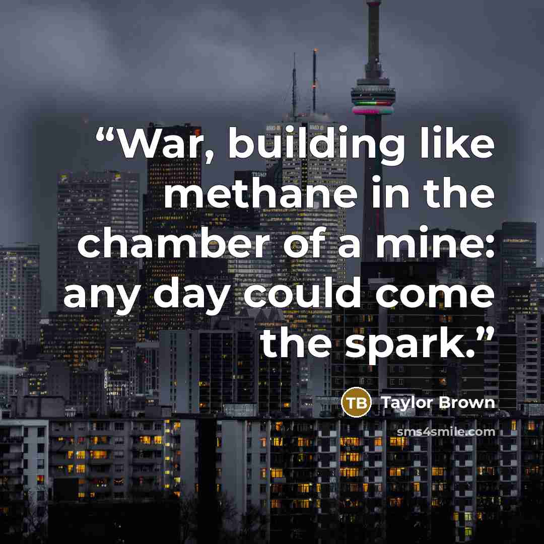 “War, building like methane in the chamber of a mine: any day could come the spark.” quote by Taylor Brown