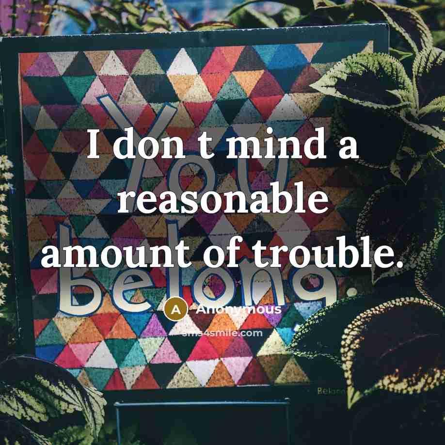 “I don t mind a reasonable amount of trouble.” quote by Anonymous