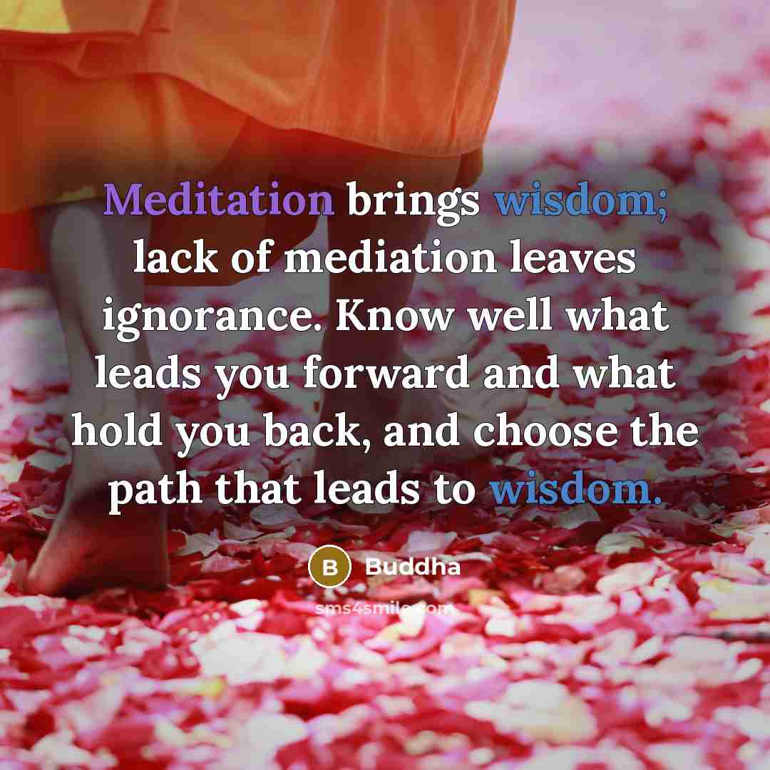 “Meditation brings wisdom; lack of mediation leaves ignorance. Know well what leads you forward and what hold you back, and choose the path that leads to wisdom.” quote by Buddha