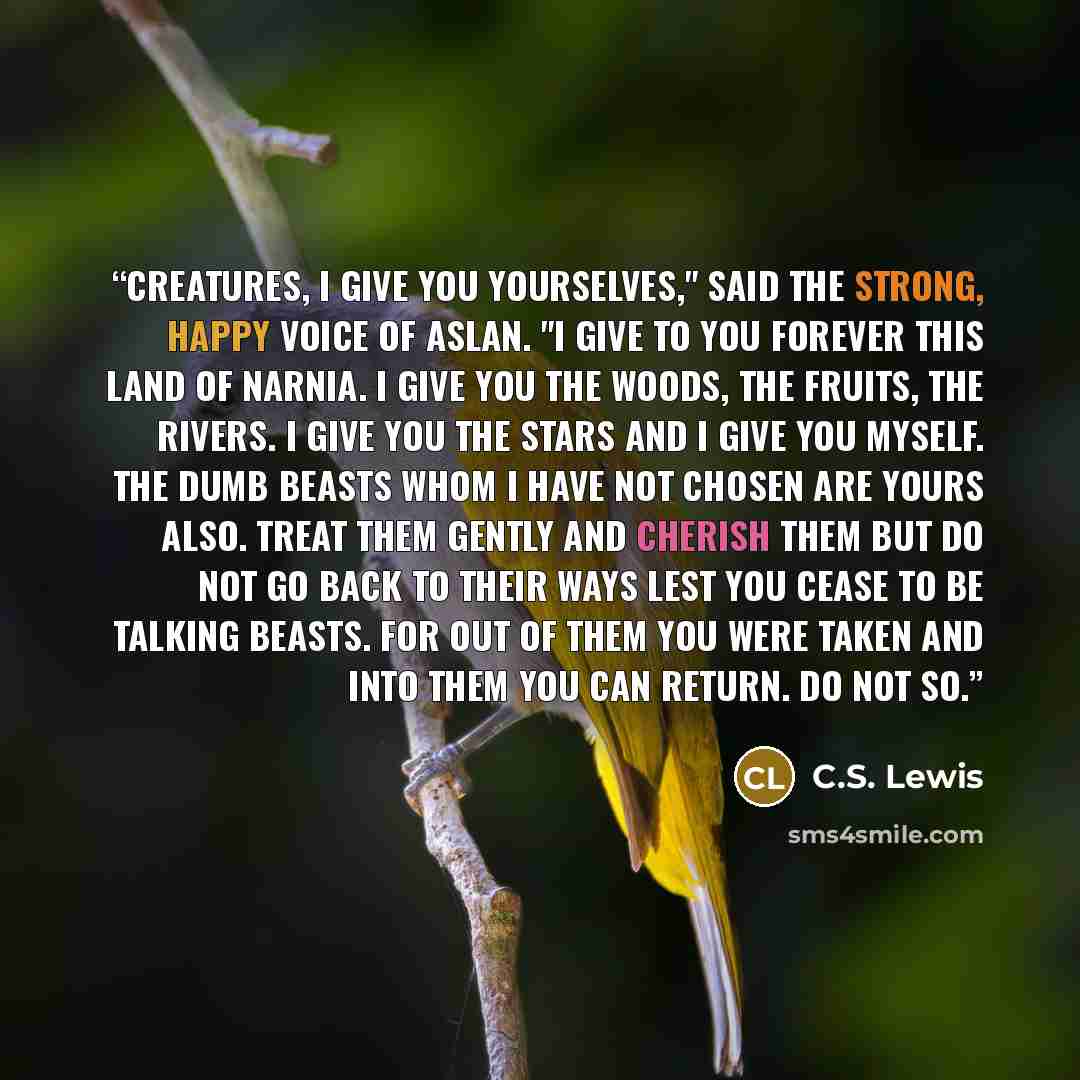 “Creatures, I give you yourselves," said the strong, happy voice of Aslan. "I give to you forever this land of Narnia. I give you the woods, the fruits, the rivers. I give you the stars and I give you myself. The Dumb Beasts whom I have not chosen are yours also. Treat them gently and cherish them…” quote by C.S. Lewis
