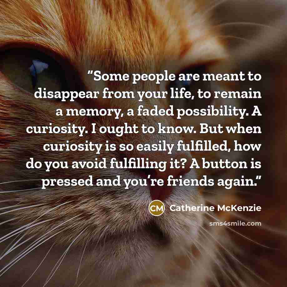 “Some people are meant to disappear from your life, to remain a memory, a faded possibility. A curiosity. I ought to know. But when curiosity is so easily fulfilled, how do you avoid fulfilling it? A button is pressed and you’re friends again.” quote by Catherine McKenzie