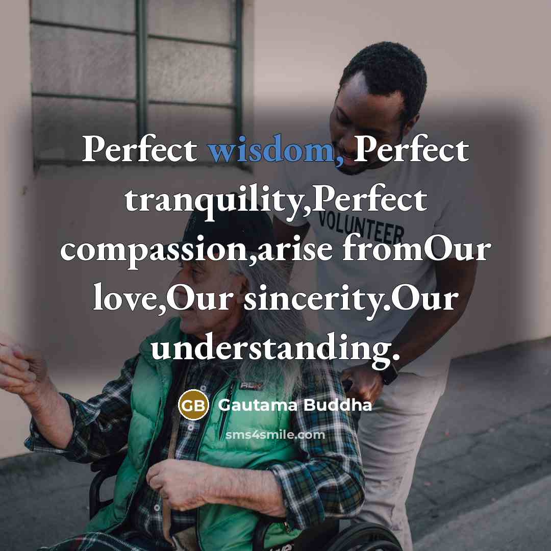 “Perfect wisdom, Perfect tranquility,Perfect compassion,arise fromOur love,Our sincerity.Our understanding.” quote by Gautama Buddha