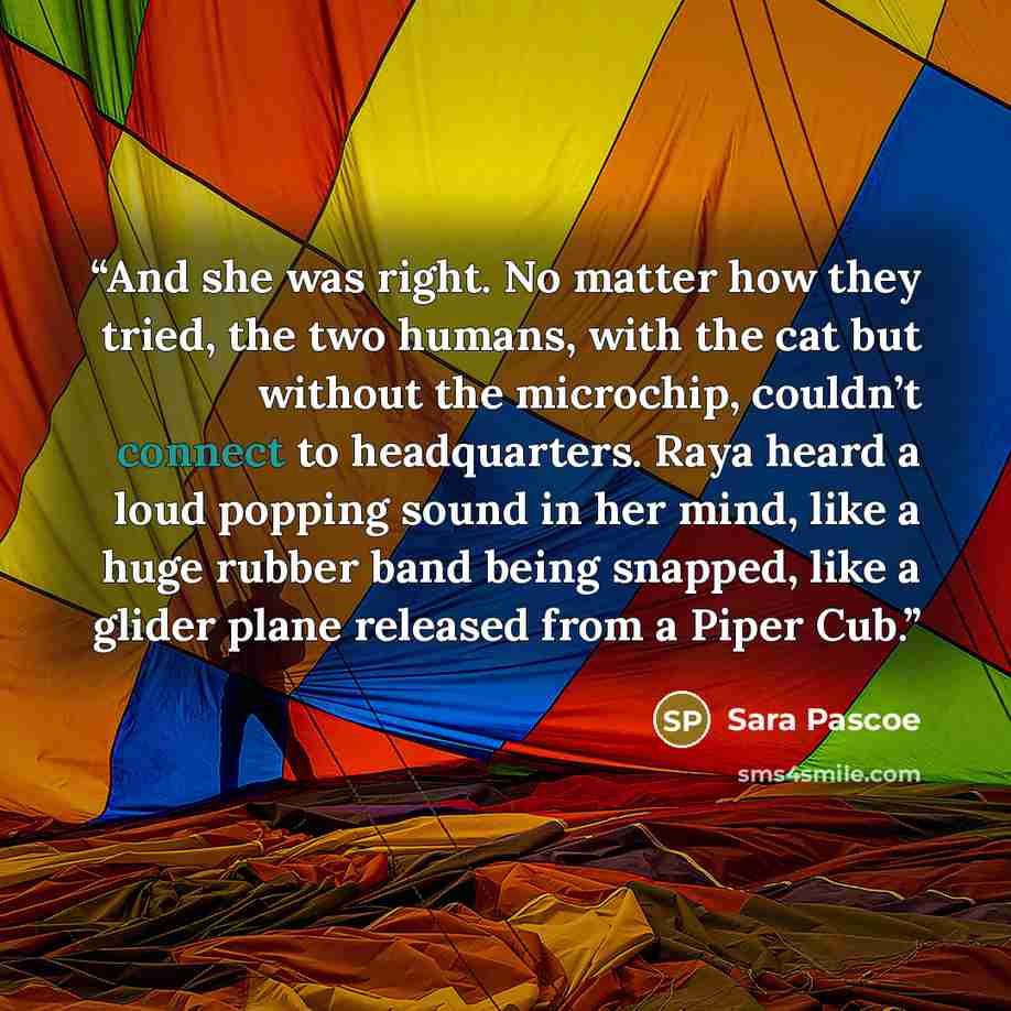 “And she was right. No matter how they tried, the two humans, with the cat but without the microchip, couldn’t connect to headquarters. Raya heard a loud popping sound in her mind, like a huge rubber band being snapped, like a glider plane released from a Piper Cub.” quote by Sara Pascoe