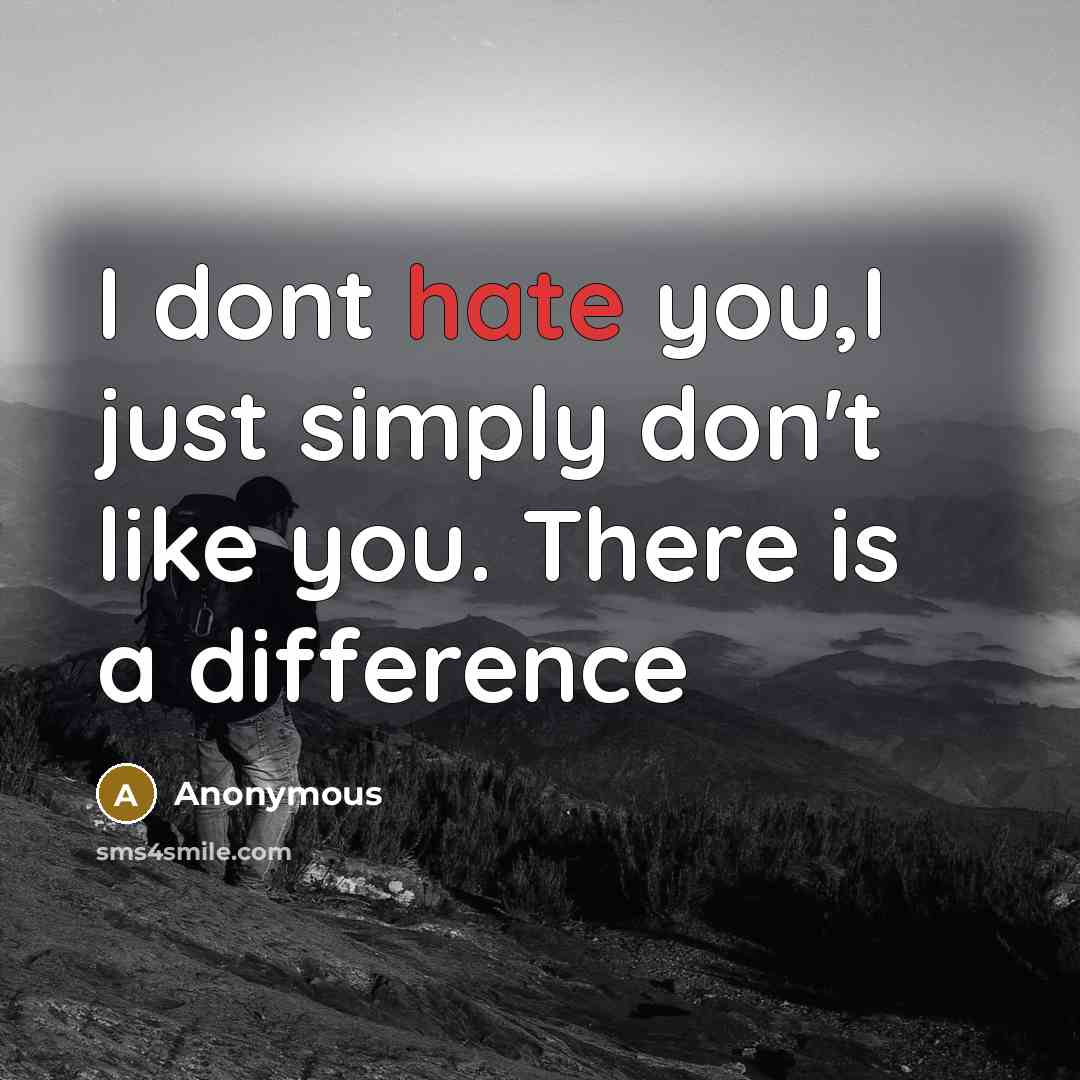 “I dont hate you,I just simply don't like you. There is a difference” quote by Anonymous
