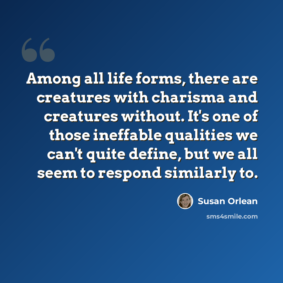 “Among all life forms, there are creatures with charisma and creatures without. It's one of those ineffable qualities we can't quite define, but we all seem to respond similarly to.” quote by Susan Orlean