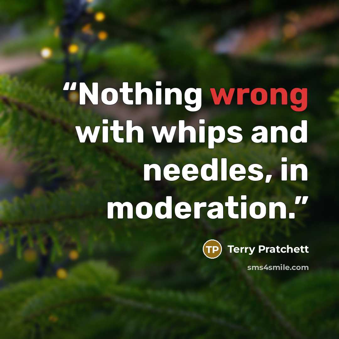 “Nothing wrong with whips and needles, in moderation.” quote by Terry Pratchett