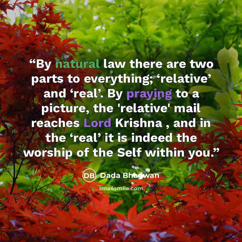 “By natural law there are two parts to everything; ‘relative’ and ‘real’. By praying to a picture, the 'relative' mail reaches Lord Krishna , and in the ‘real’ it is indeed the worship of the Self within you.” quote by Dada Bhagwan