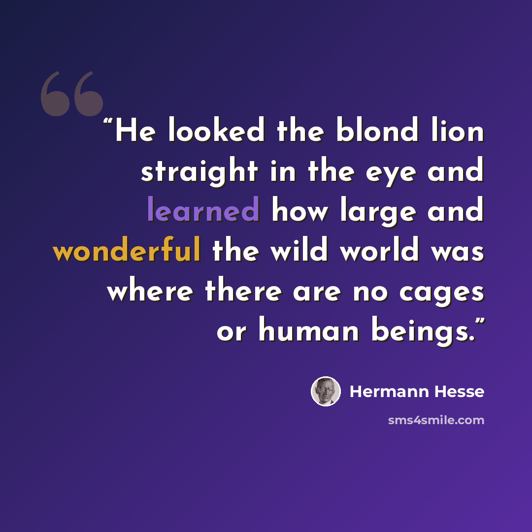 “He looked the blond lion straight in the eye and learned how large and wonderful the wild world was where there are no cages or human beings.” quote by Hermann Hesse