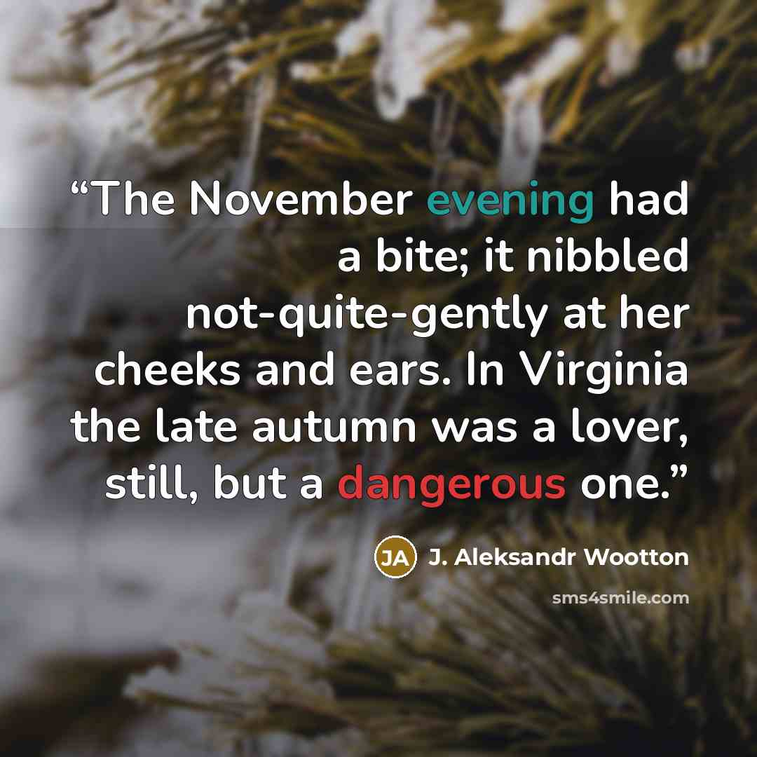 “The November evening had a bite; it nibbled not-quite-gently at her cheeks and ears. In Virginia the late autumn was a lover, still, but a dangerous one.” quote by J. Aleksandr Wootton