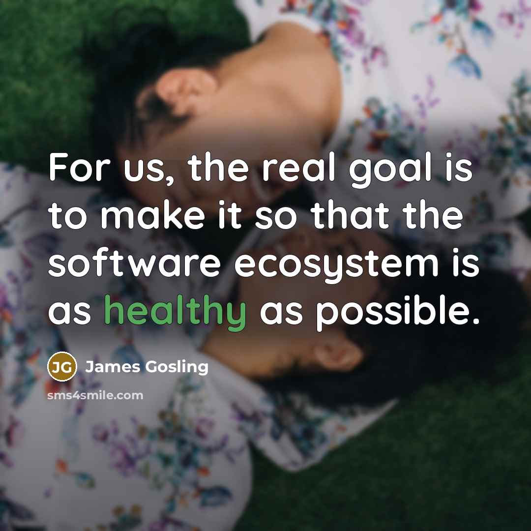 “For us, the real goal is to make it so that the software ecosystem is as healthy as possible.” quote by James Gosling