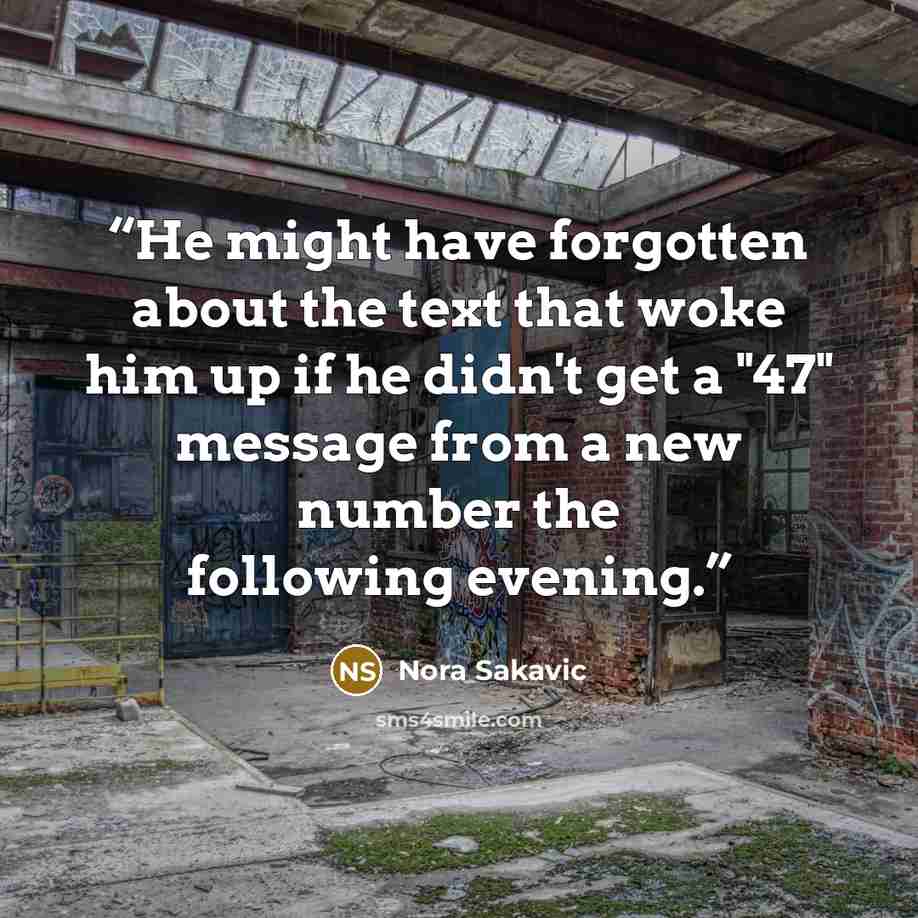“He might have forgotten about the text that woke him up if he didn't get a "47" message from a new number the following evening.” quote by Nora Sakavic