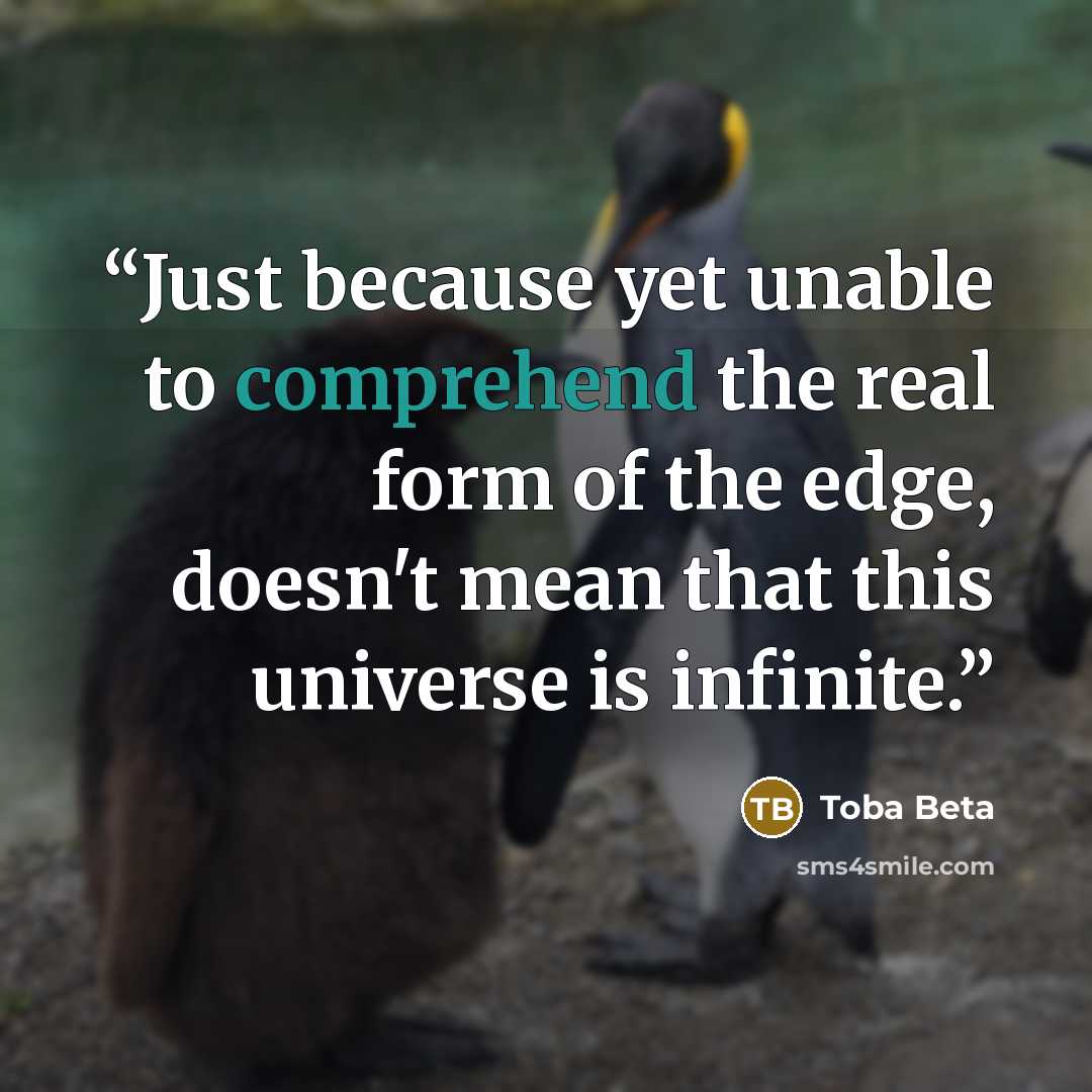 “Just because yet unable to comprehend the real form of the edge, doesn't mean that this universe is infinite.” quote by Toba Beta